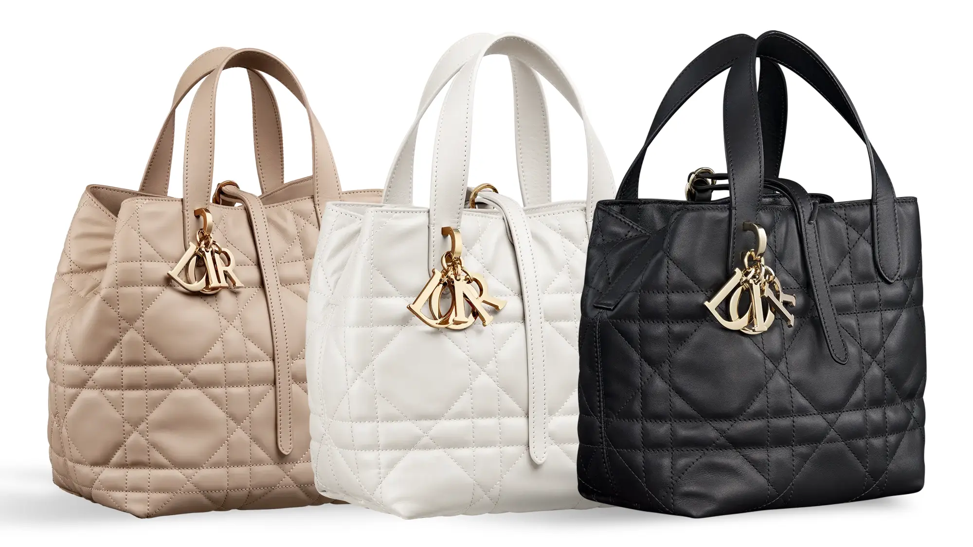 Dior unveils the Dior Toujours bag in a unique vertical